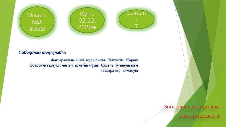 Писка, балапан және король Жүктілік кезіндегі жыныстық позициялар егжей-тегжейлі