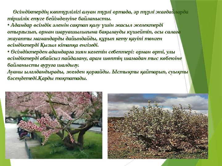 Өсімдіктердің көптүрлілігі алуан түрлі ортада, әр түрлі жағдайларда тіршілік етуге бейімделуіне байланысты. • Адамдар