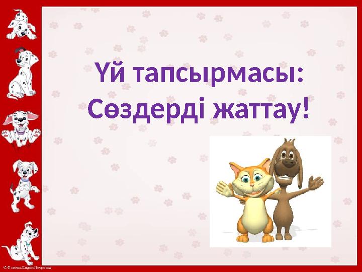 Үй тапсырмасы: Сөздерді жаттау!