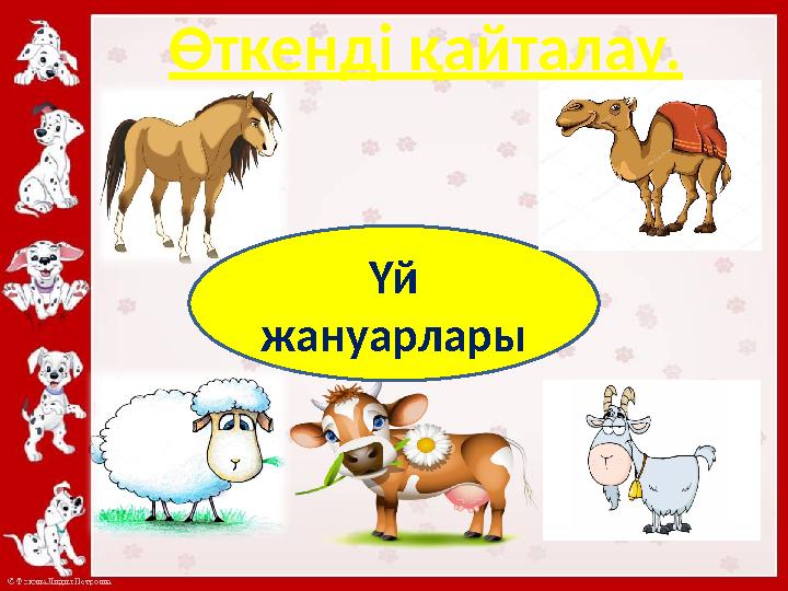 Өткенді қайталау. Үй жануарлары