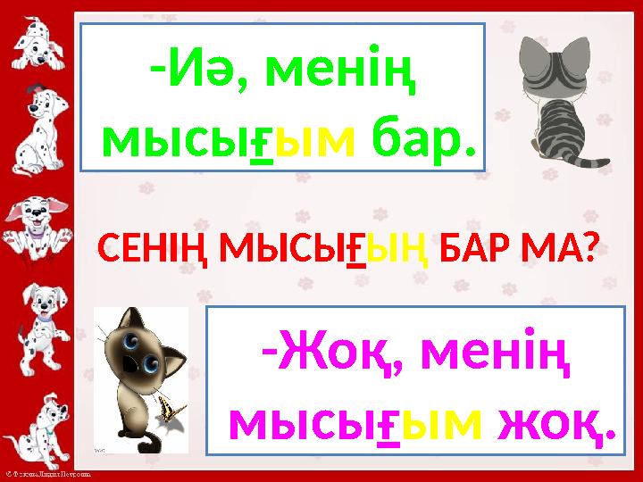 -Иә, менің мысы ғ ым бар. -Жоқ, менің мысы ғ ым жоқ.СЕНІҢ МЫСЫ Ғ ЫҢ БАР МА?