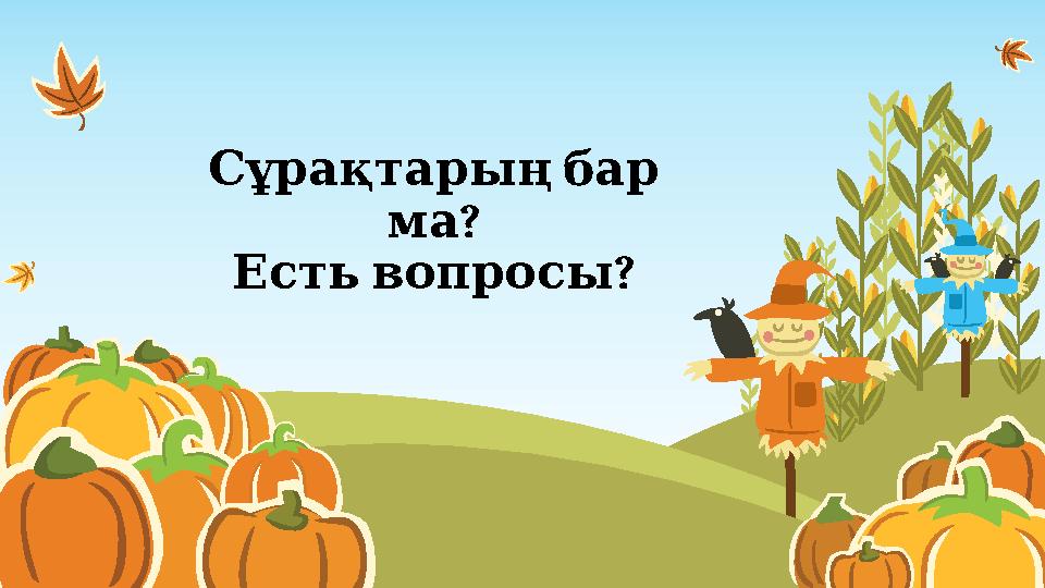 Сұрақтарың бар ? ма ? Есть вопросы