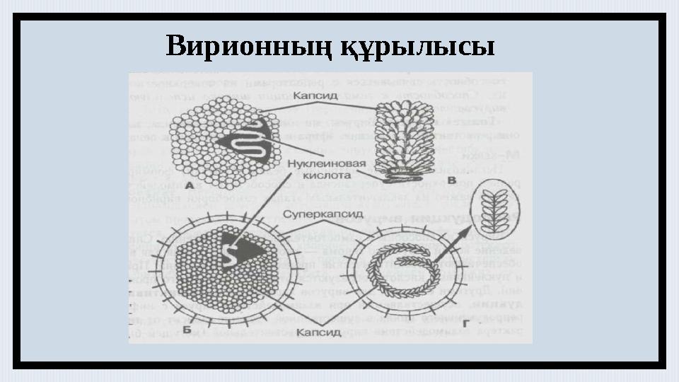 Кремпи тай секс онлайн көру