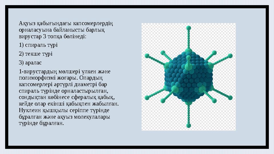 Ақуыз қабығындағы капсомерлердің орналасуына байланысты барлық вирустар 3 топқа бөлінеді: 1) спираль түрі 2) текше түрі 3) ара