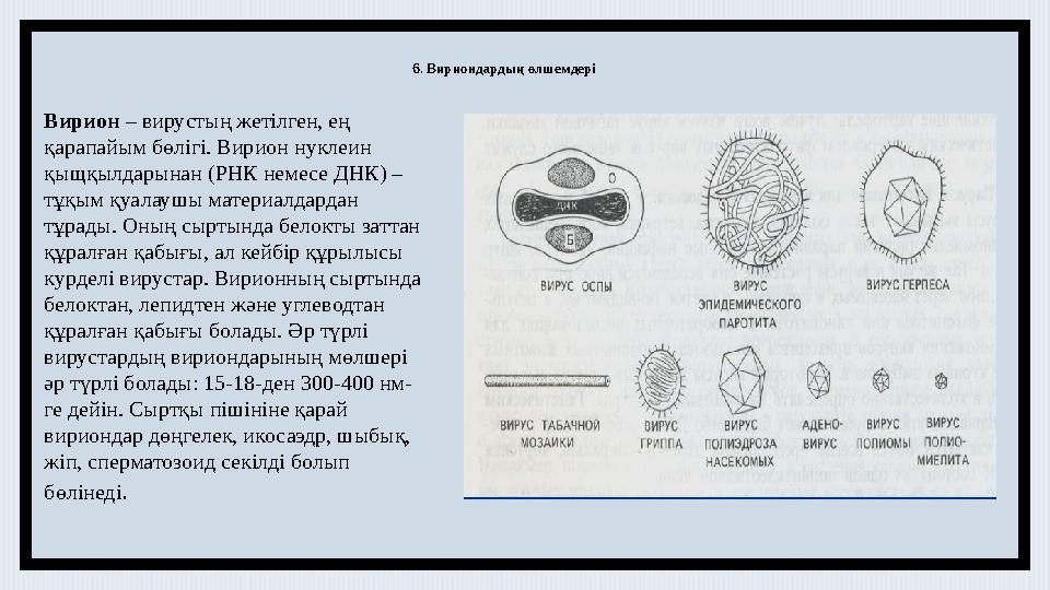 Тегін порно сұлулық