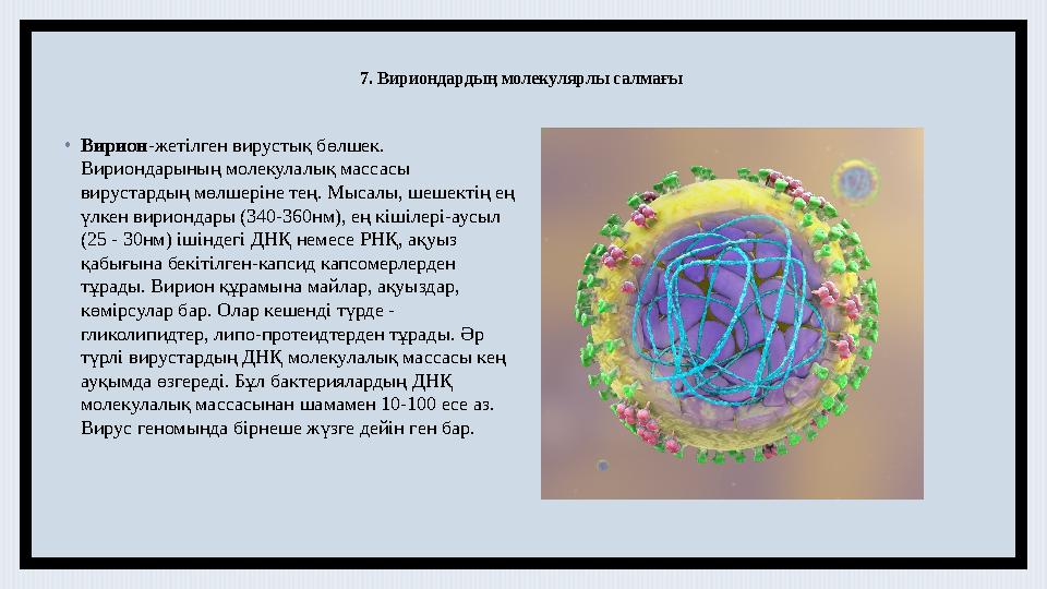 7. Вириондардың молекулярлы салмағы • Вирион -жетілген вирустық бөлшек. Вириондарының молекулалық массасы вирустардың мөлшері