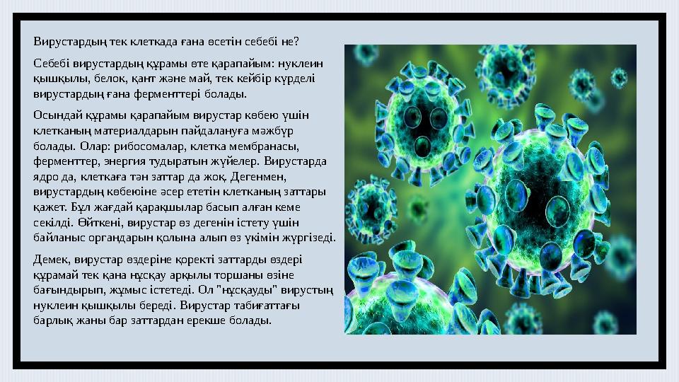 Вирустардың тек клеткада ғана өсетін себебі не? Себебі вирустардың құрамы өте қарапайым: нуклеин қышқылы, белок, қант және май,