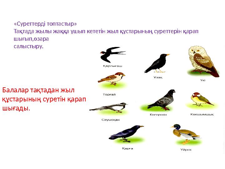 «Суреттерді топтастыр» Тақтада жылы жаққа ұшып кететін жыл құстарының суреттерін қарап шығып,өзара салыстыру. Балалар тақтада