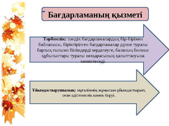 Бағдарламаның қызметі Тәрбиелік: пәндік бағдарламалардың бір-бірімен байланысы, біріктірілген бағдарламалар дүние туралы барл