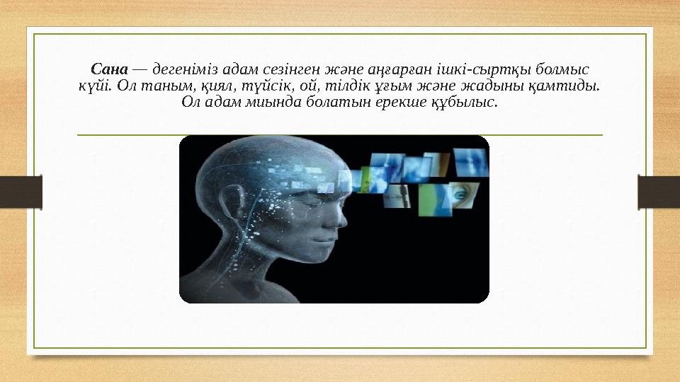 Сана — дегеніміз адам сезінген және аңғарған ішкі-сыртқы болмыс күйі. Ол таным, қиял, түйсік, ой, тілдік ұғым және жадыны қам