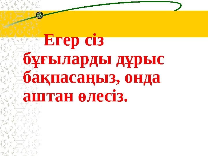 Егер сіз бұғыларды дұрыс бақпасаңыз, онда аштан өлесіз.