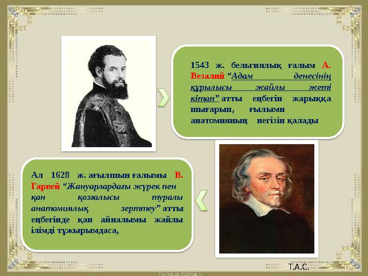 1543 ж. бельгиялық ғалым А. Везалий “ Адам денесінің құрылысы жайлы жеті кітап” атты еңбегін жарыққа шығарып, ғы