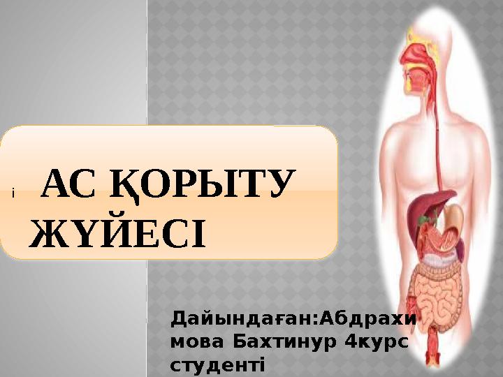 Секс қазақша порно бірінші түн