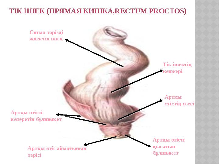 Жасырын камера секс онлайн