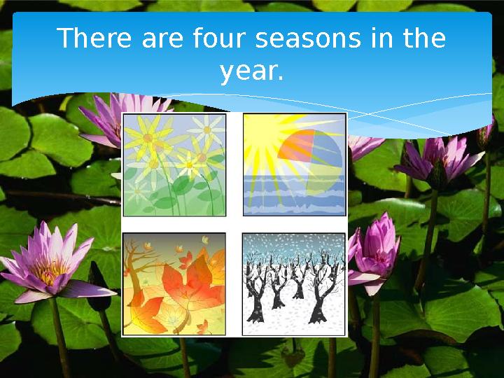 There are four seasons in the year.