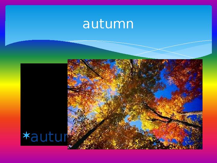  autumn autumn