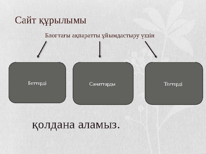 Сайт құрылымы Блогтағы ақпаратты ұйымдастыру үшін Беттерді Санаттарды Тегтерді қолдана аламыз.