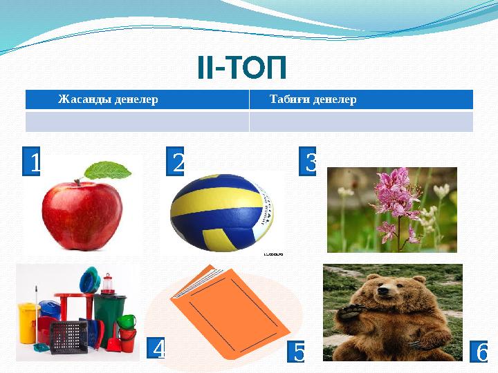 II- ТОП Жасанды денелер Табиғи денелер 1 2 3 4 5 6