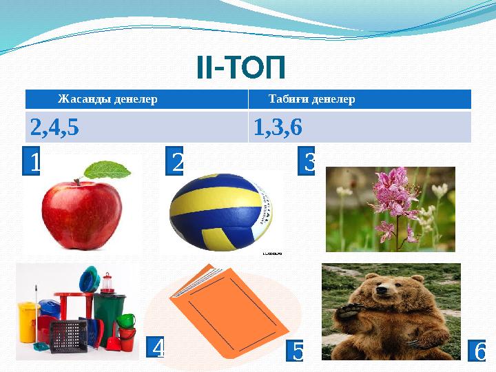 II- ТОП Жасанды денелер Табиғи денелер 2,4,5 1,3,6 1 2 3 4 5 6