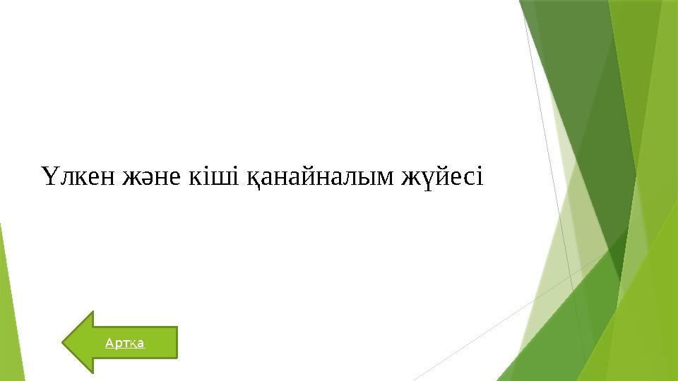 Артқа Үлкен және кіші қанайналым жүйесі