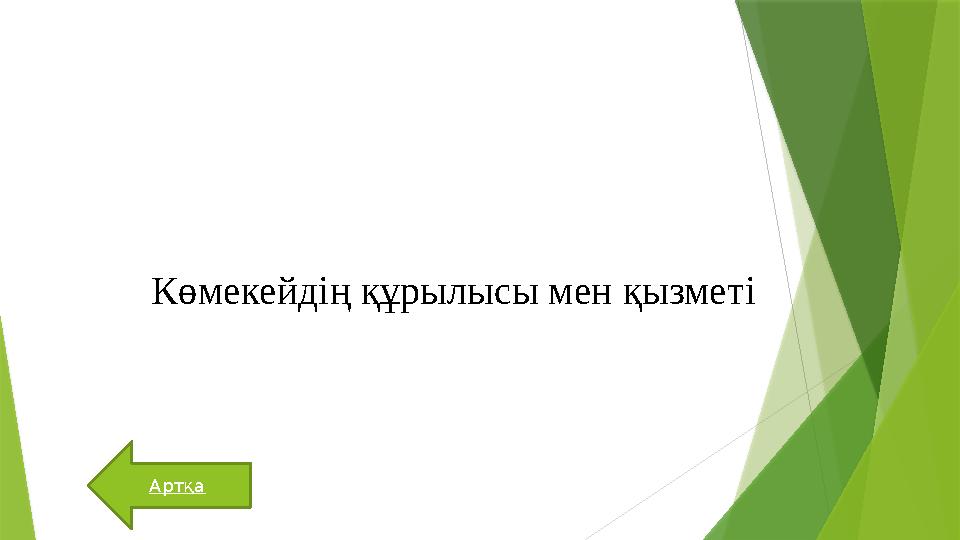 Артқа Көмекейдің құрылысы мен қызметі