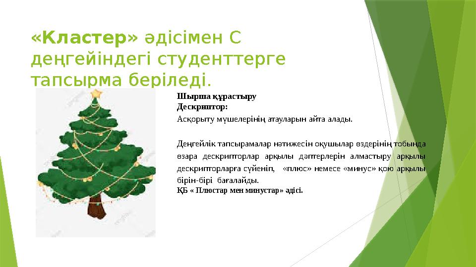 «Кластер» әдісімен С деңгейіндегі студенттерге тапсырма беріледі. Шырша құрастыру Дескриптор: Асқорыту мүшелерінің атауларын