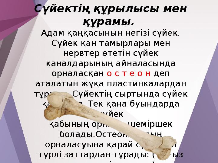 Порно қыз кончалары