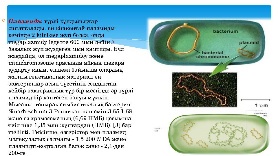 Орыс қызымен порнографияны жейді