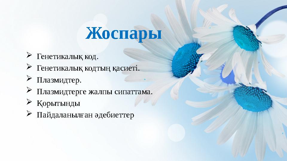 Әйел киіміндегі жігіттердің порно видеолары