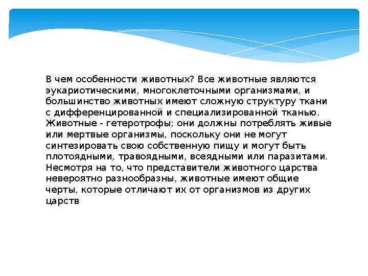 В чем особенности животных? Все животные являются эукариотическими, многоклеточными организмами, и большинство животных имеют