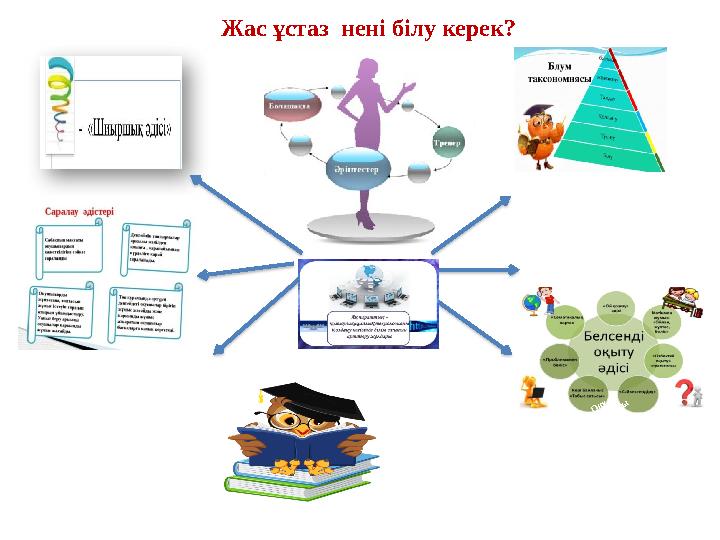 Жас ұстаз нені білу керек? Оқу сауаттылығы 2019