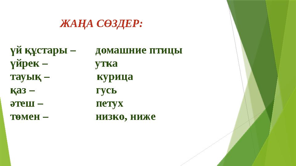 ЖАҢА СӨЗДЕР: үй құстары – домашние птицы үйрек – утка тауық – курица қа