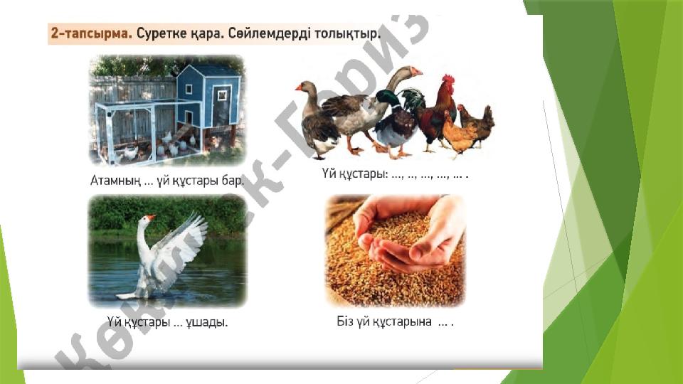 Керекті сөздер: Қайда? Қалай? Кім? Не? Нелер? Атамның қорасында () бар? Үй құстарына ... жатады? Олар ... жатады? Үй құстары .