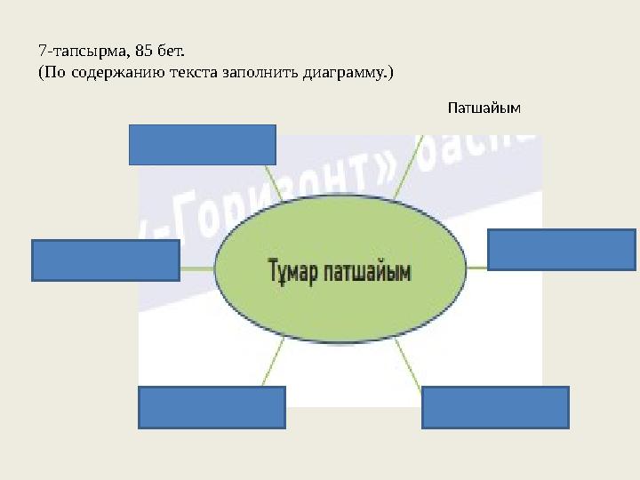 7-тапсырма, 85 бет. (По содержанию текста заполнить диаграмму.) Патшайым