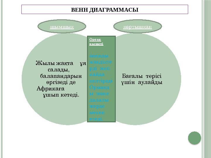 Жылы жақта ұя салады, балапандарын өргізеді де Африкаға ұшып кетеді. Бағалы терісі үші