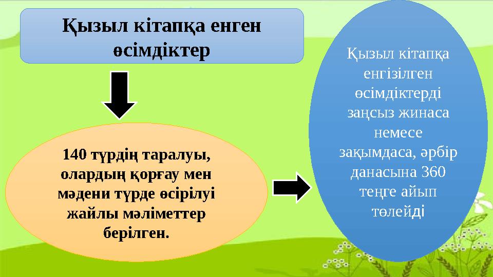 Қызыл кітапқа енген өсімдіктер 140 түрдің таралуы, олардың қорғау мен мәдени түрде өсірілуі жайлы мәліметтер берілген. Қызы