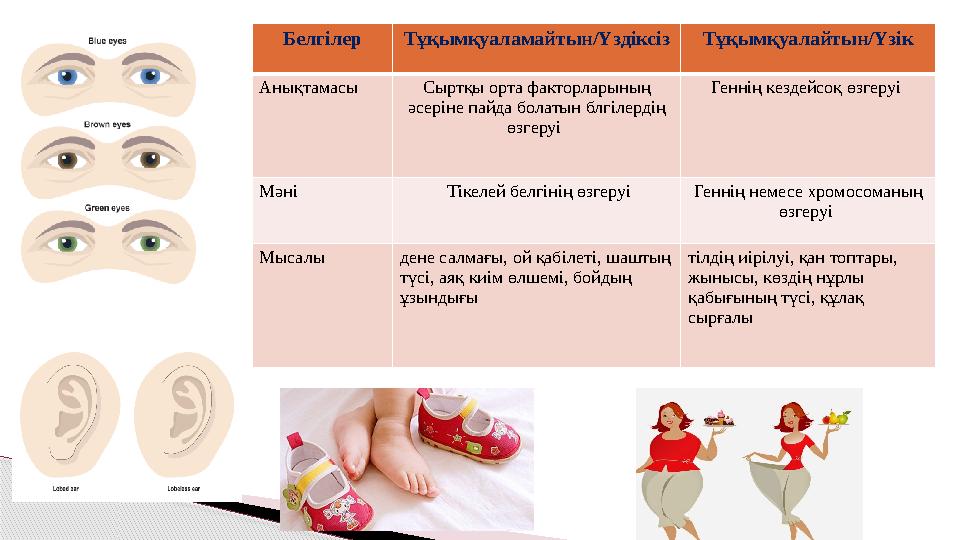 Белг ілер Тұқымқуаламайтын/Үздіксіз Тұқымқуалайтын/Үзік Анықтамасы Сыртқы орта факторларының әсеріне пайда болатын блгілердің