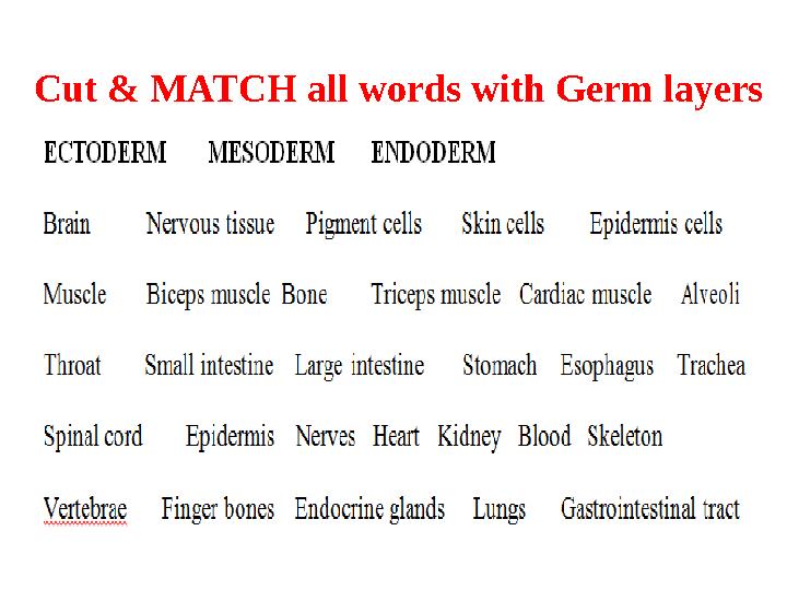 Cut & MATCH all words with Germ layers