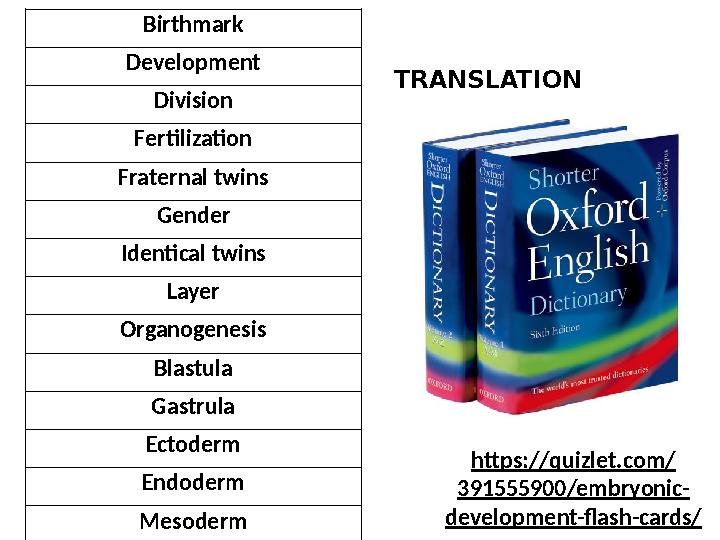 Birthmark Development Division Fertilization Fraternal twins Gender Identical twins Layer Organogenesis Blastula Gastrula Ectode