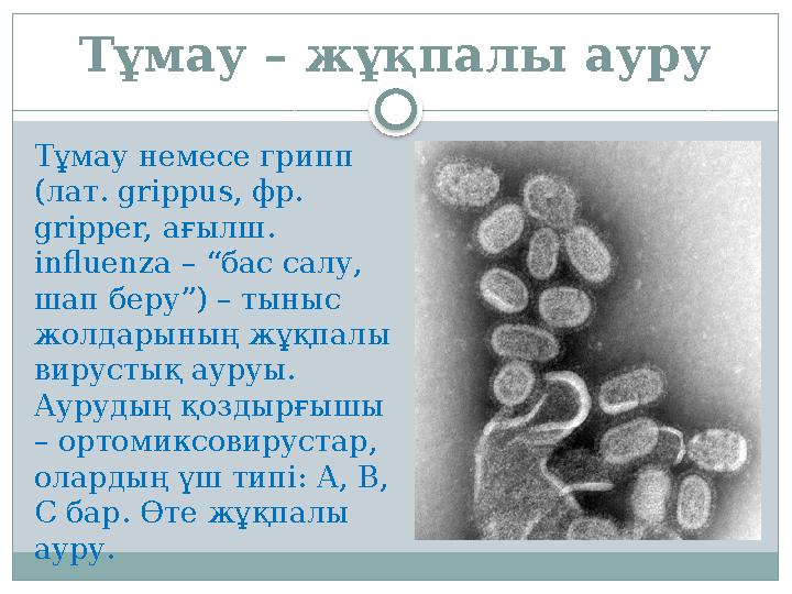 Тұмау – жұқпалы ауру Тұмау немесе грипп (лат. gr і ppus, фр. gr і pper, ағылш. influenza – “ бас салу, шап беру”) – тыныс