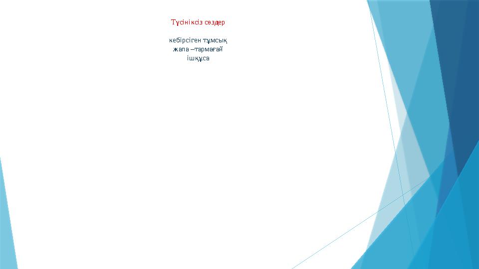 Түсініксіз сөздер кебірсіген тұмсық жапа –тармағай ішқұса
