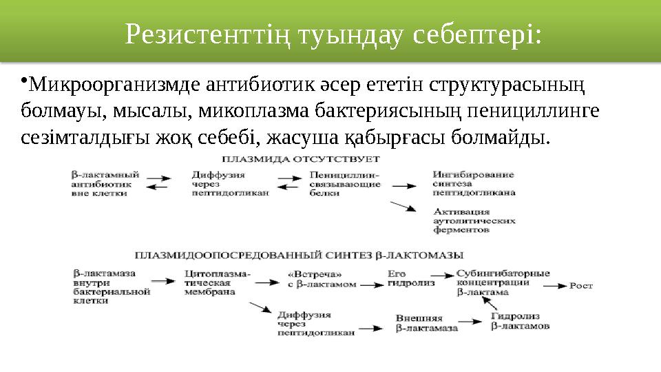 Резистенттің туындау себептері: • Микроорганизмде антибиотик әсер ететін структурасының болмауы, мысалы, микоплазма бактериясын
