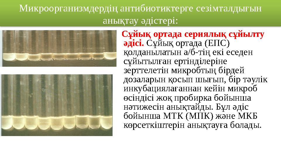 Микроорганизмдердің антибиотиктерге сезімталдығын анықтау әдістері: Сұйық ортада сериялық сұйылту әдісі. Сұйық ортада (