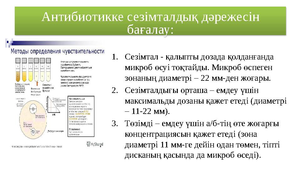 Антибиотикке сезімталдық дәрежесін бағалау: 1. Сезімтал - қалыпты дозада қолданғанда микроб өсуі тоқтайды. Микроб өспеген зон