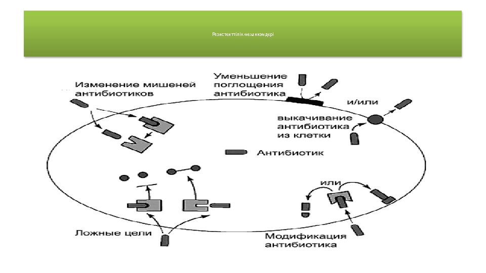 Резистенттілік механизмдері