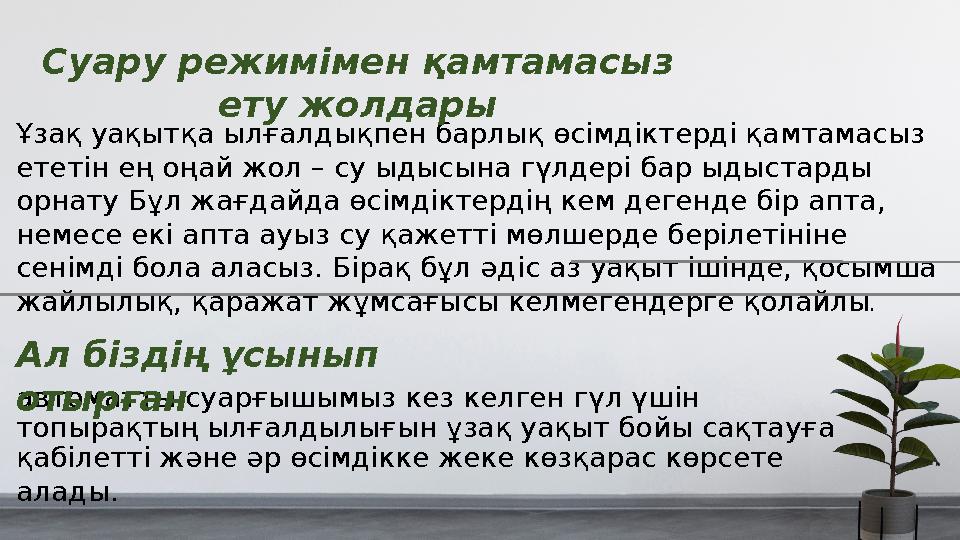 автоматты суарғышымыз кез келген гүл үшін топырақтың ылғалдылығын ұзақ уақыт бойы сақтауға қабілетті және әр өсімдікке жеке кө