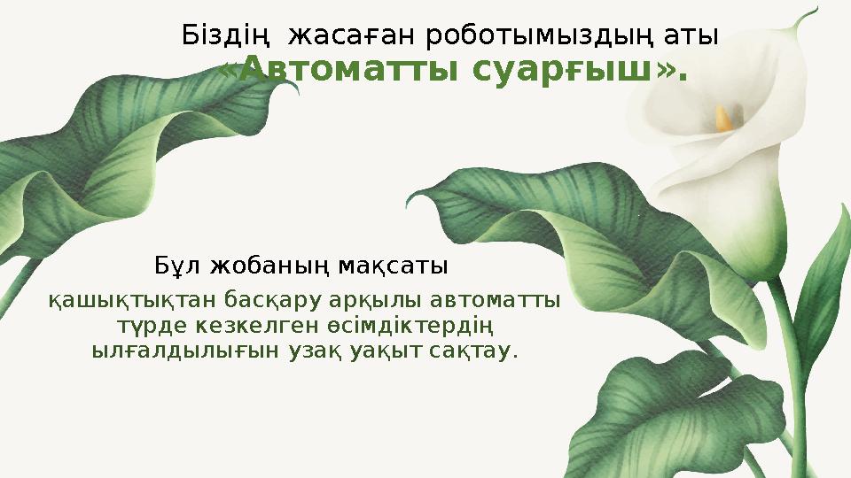 Біздің жасаған роботымыздың аты «Автоматты суарғыш». Бұл жобаның мақсаты қашықтықтан басқару арқылы автоматты түрде кезкел