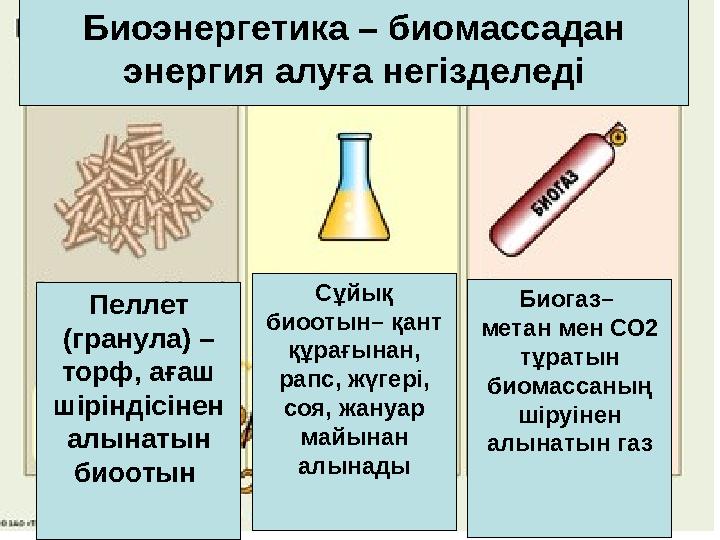 Биоэнергетика – биомассадан энергия алуға негізделеді Пеллет (гранула) – торф, ағаш шіріндісінен алынатын биоотын Сұйық