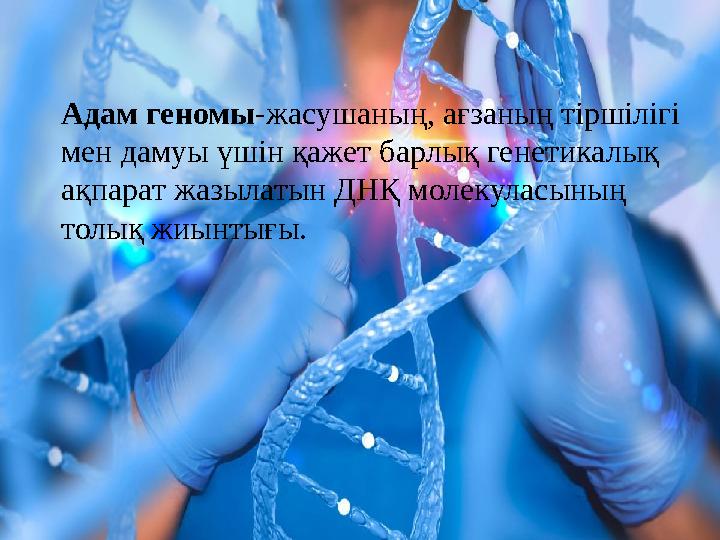 Адам геномы -жасушаның, ағзаның тіршілігі мен дамуы үшін қажет барлық генетикалық ақпарат жазылатын ДНҚ молекуласының толық ж