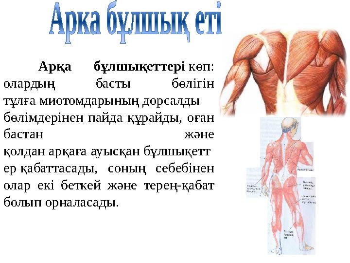 Біздің порно модельдер Ол күйеуінің есекке түскенін қалайды